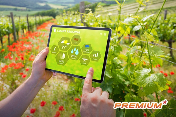 Ngành trồng trọt Trung Quốc phát triển mạnh mẽ nhờ nền tảng số