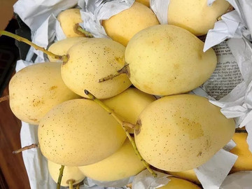 Imports flood fruit market, domestic fruit now dirt-cheap