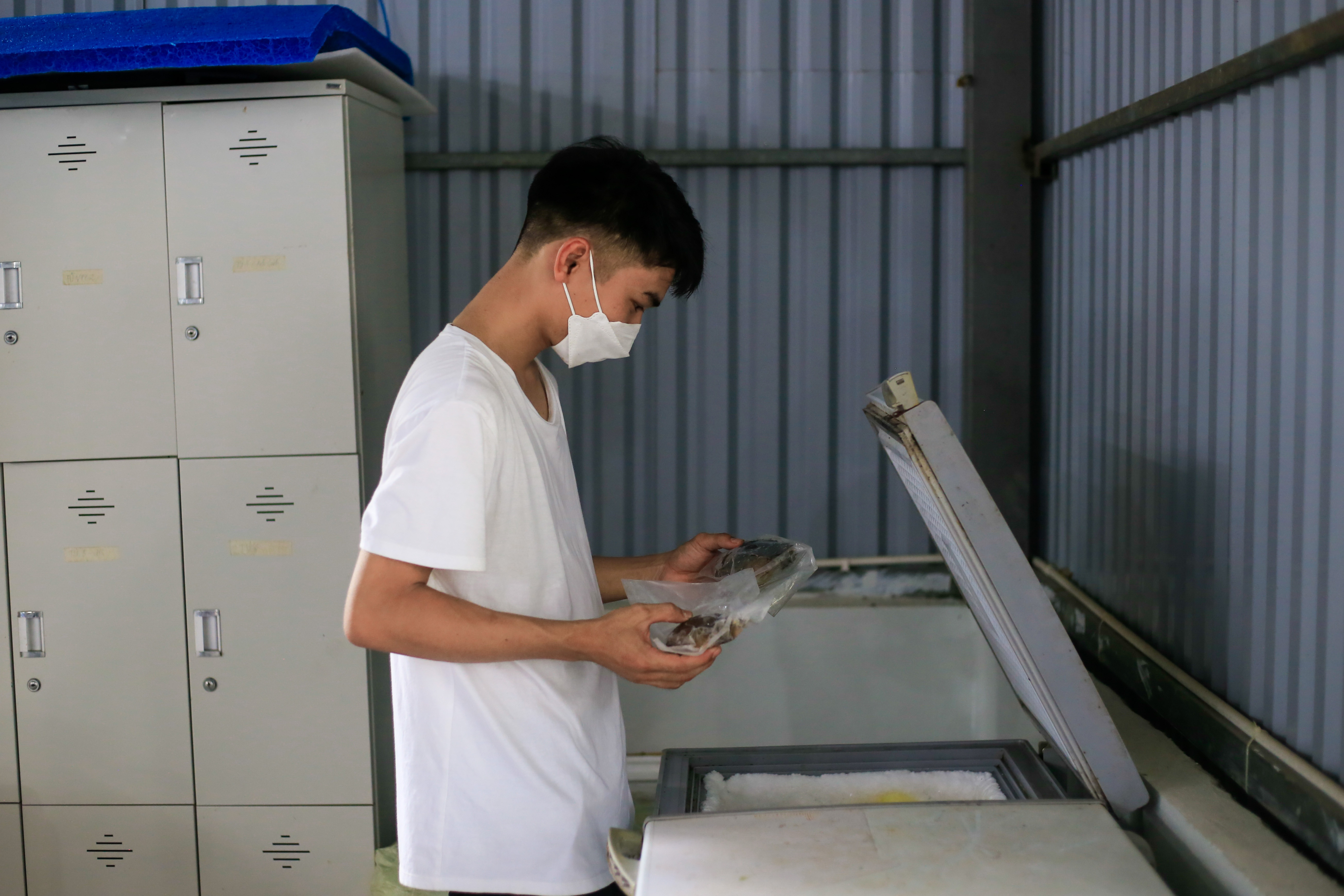 nuoi cua bien trong nha anh 12