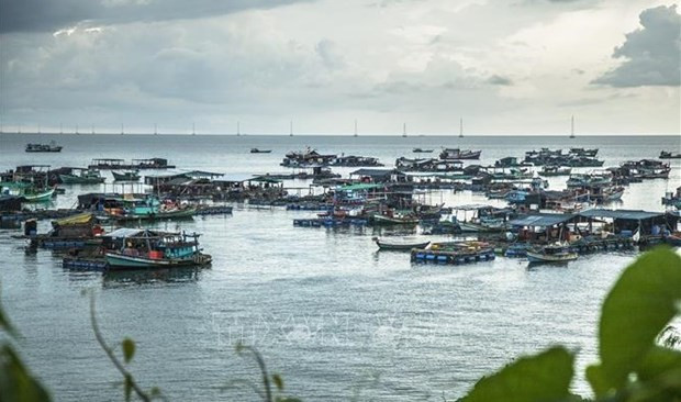 “The blue economy scenarios for Vietnam” report launched hinh anh 1