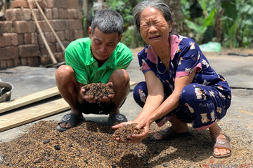 Nhà cửa cháy thành than, vợ chồng nghèo khóc ngất bên con trai mắc bệnh tâm thần