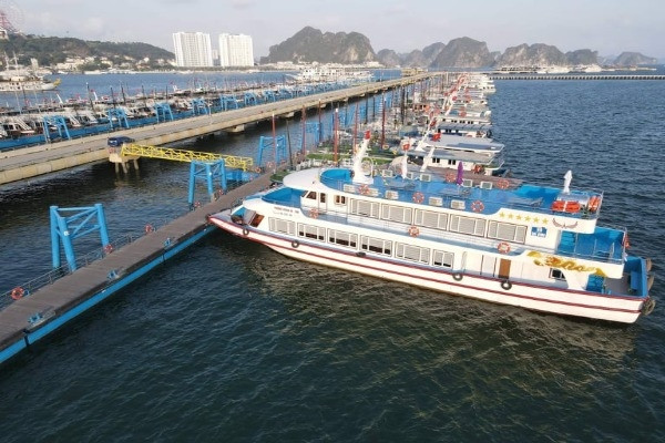 Du khách tham quan vịnh Hạ Long rơi từ tàu xuống biển tử vong