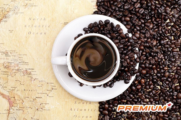 Dự báo thị trường toàn cầu sẽ thiếu hụt 3,1 triệu bao cà phê trong niên vụ 2021/2022