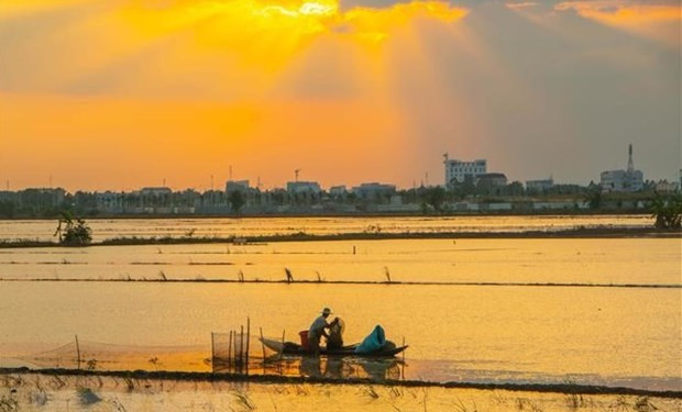 Mekong Delta hoped to see development breakthroughs hinh anh 1