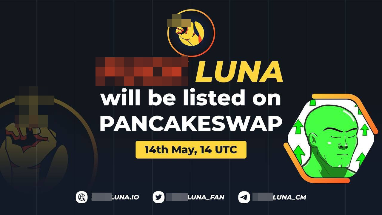 Xuat hien loat memecoin an theo vu sap cua LUNA anh 1