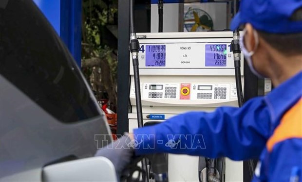 Keeping CPI below 4 pct this year a challenge: Economist hinh anh 1