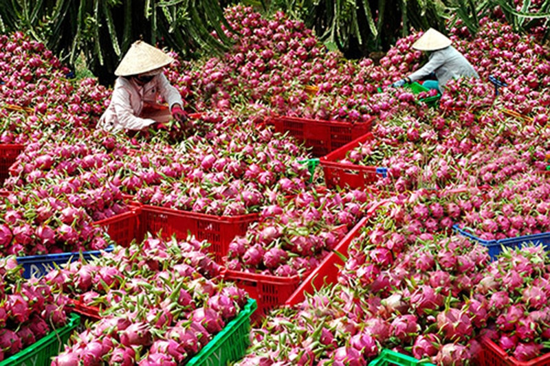 Long An hỗ trợ doanh nghiệp nâng tầm thương hiệu trong nền kinh tế số