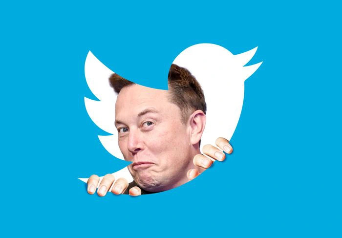 Elon Musk bi to cao anh 1