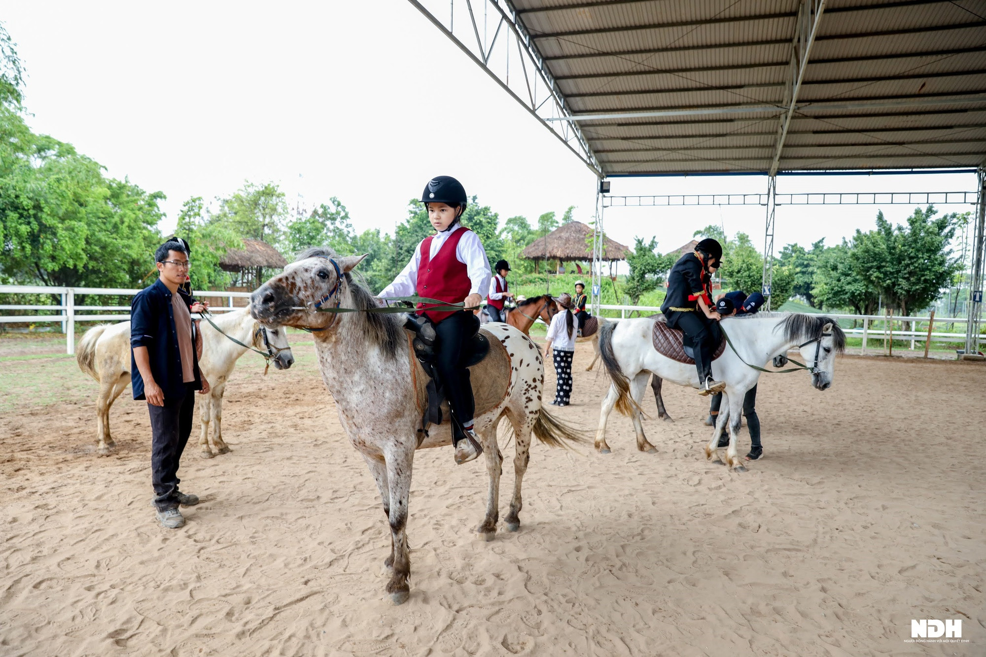 Người Hà Nội chi tiền triệu học cưỡi ngựa phong cách châu Âu - Ảnh 4.
