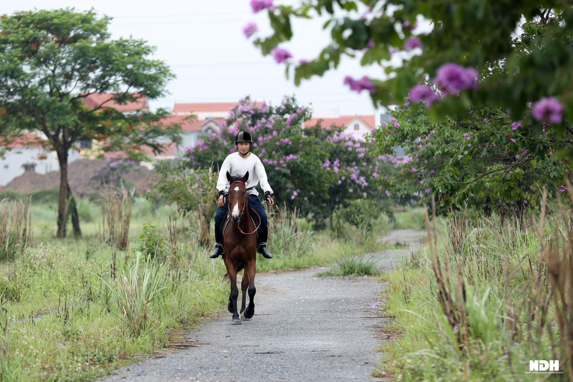 Người Hà Nội chi tiền triệu học cưỡi ngựa phong cách châu Âu - Ảnh 6.