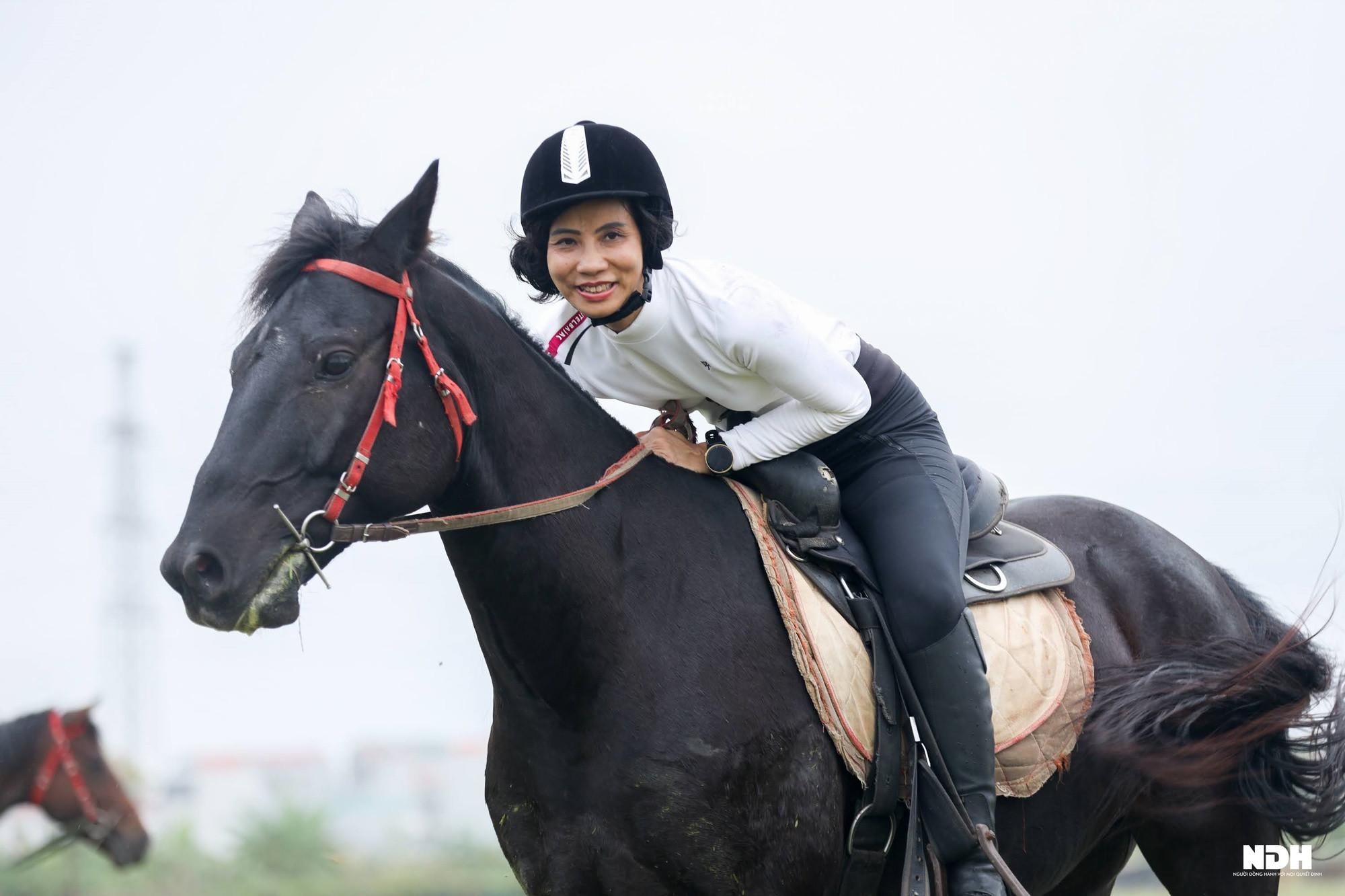 Người Hà Nội chi tiền triệu học cưỡi ngựa phong cách châu Âu - Ảnh 1.