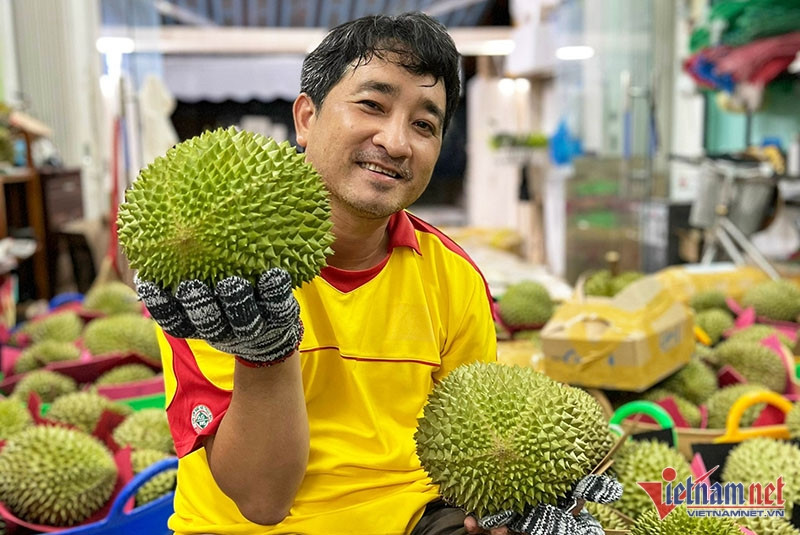 Sầu riêng Musang King chín rụng ở Cần Thơ, gần 3 triệu/quả vẫn khó mua