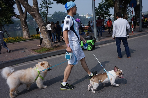 Hà Nội cấm mang chó mèo, loa công suất lớn vào phố đi bộ hồ Gươm
