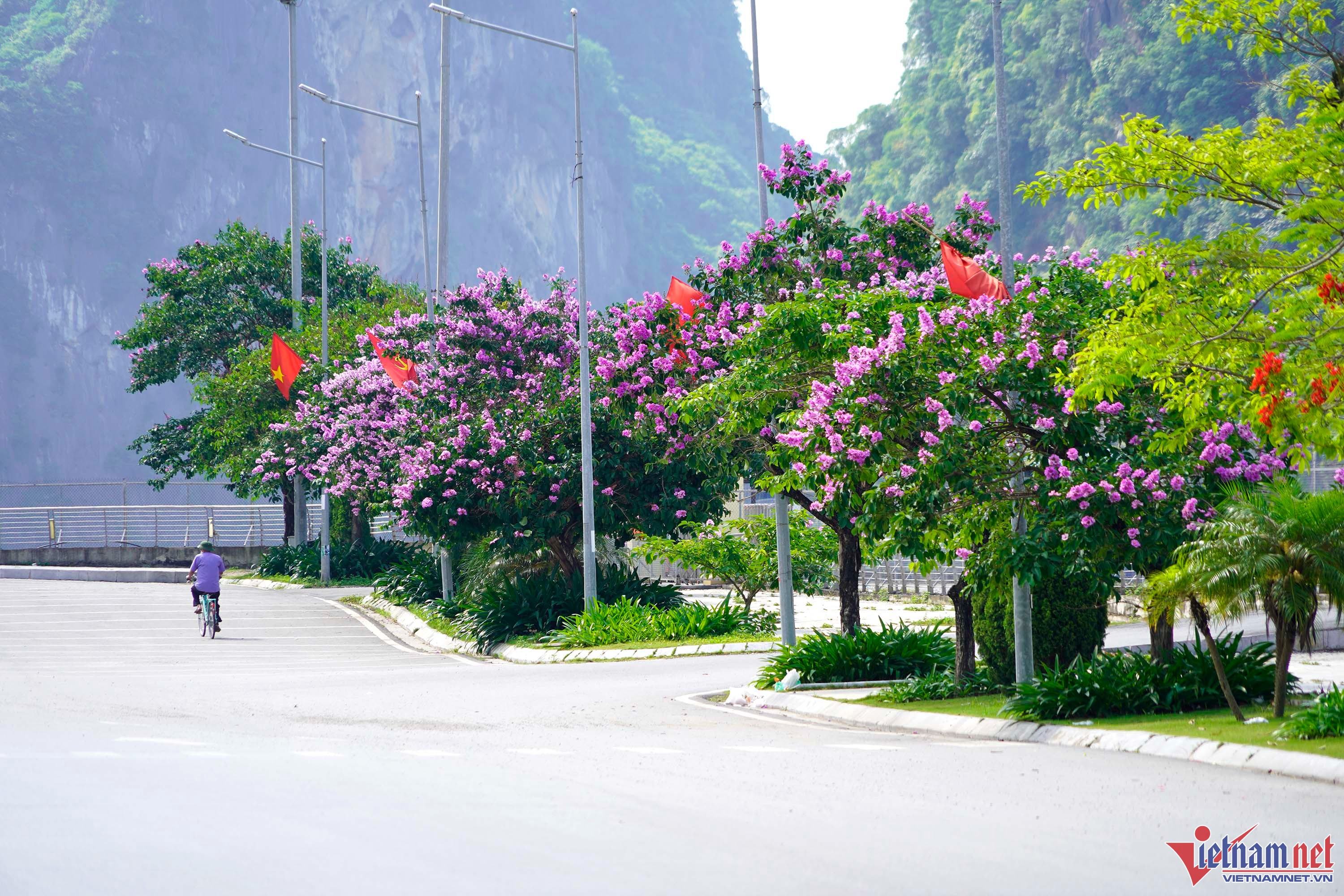 'Có vài chục tỷ đồng mới sống được như Lý Tử Thất'