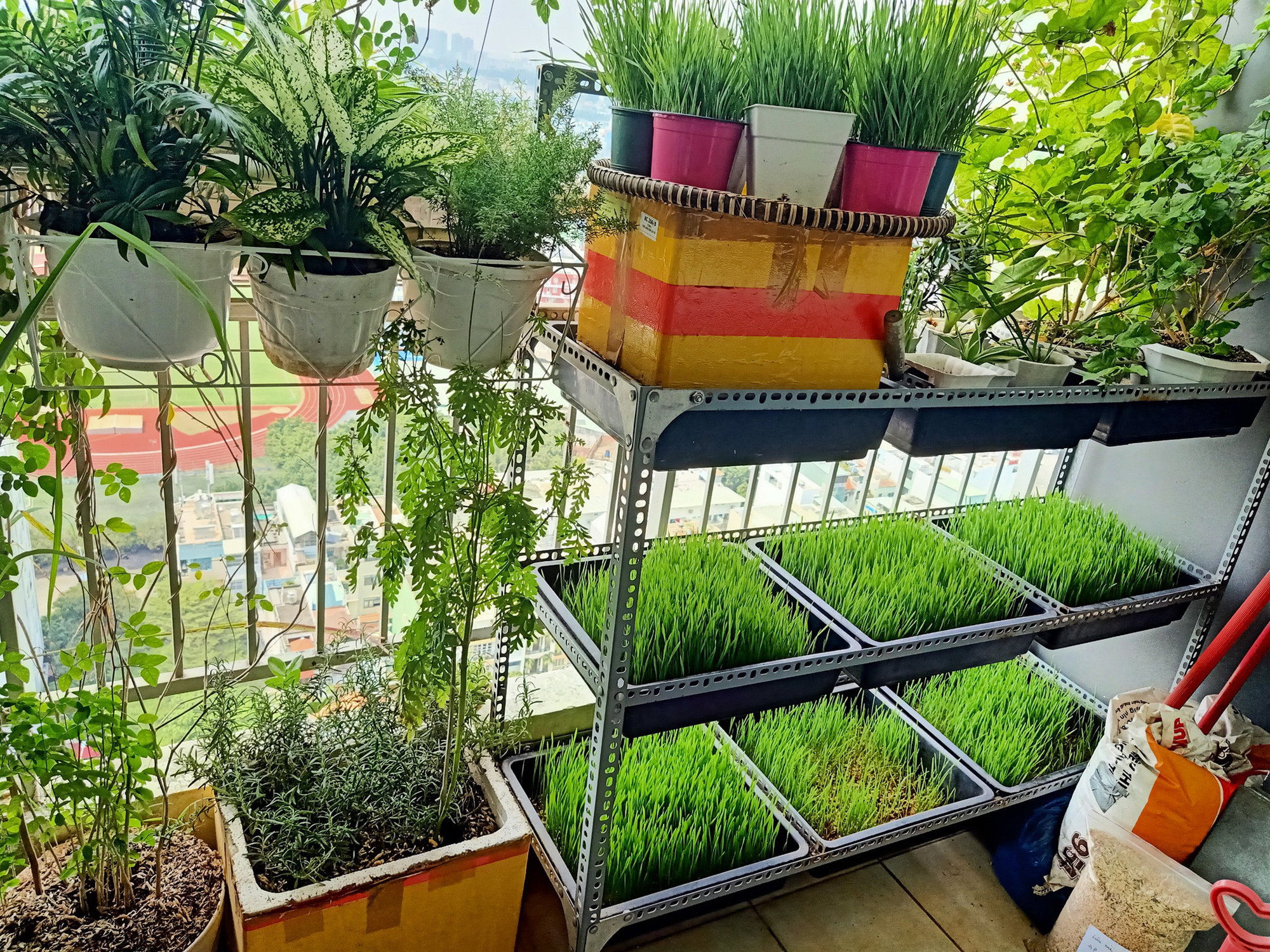 Learn tips to avoid the hot sun in the summer for the balcony of townhouses facing the West by being both cheap and effective in Saigon - Photo 3.