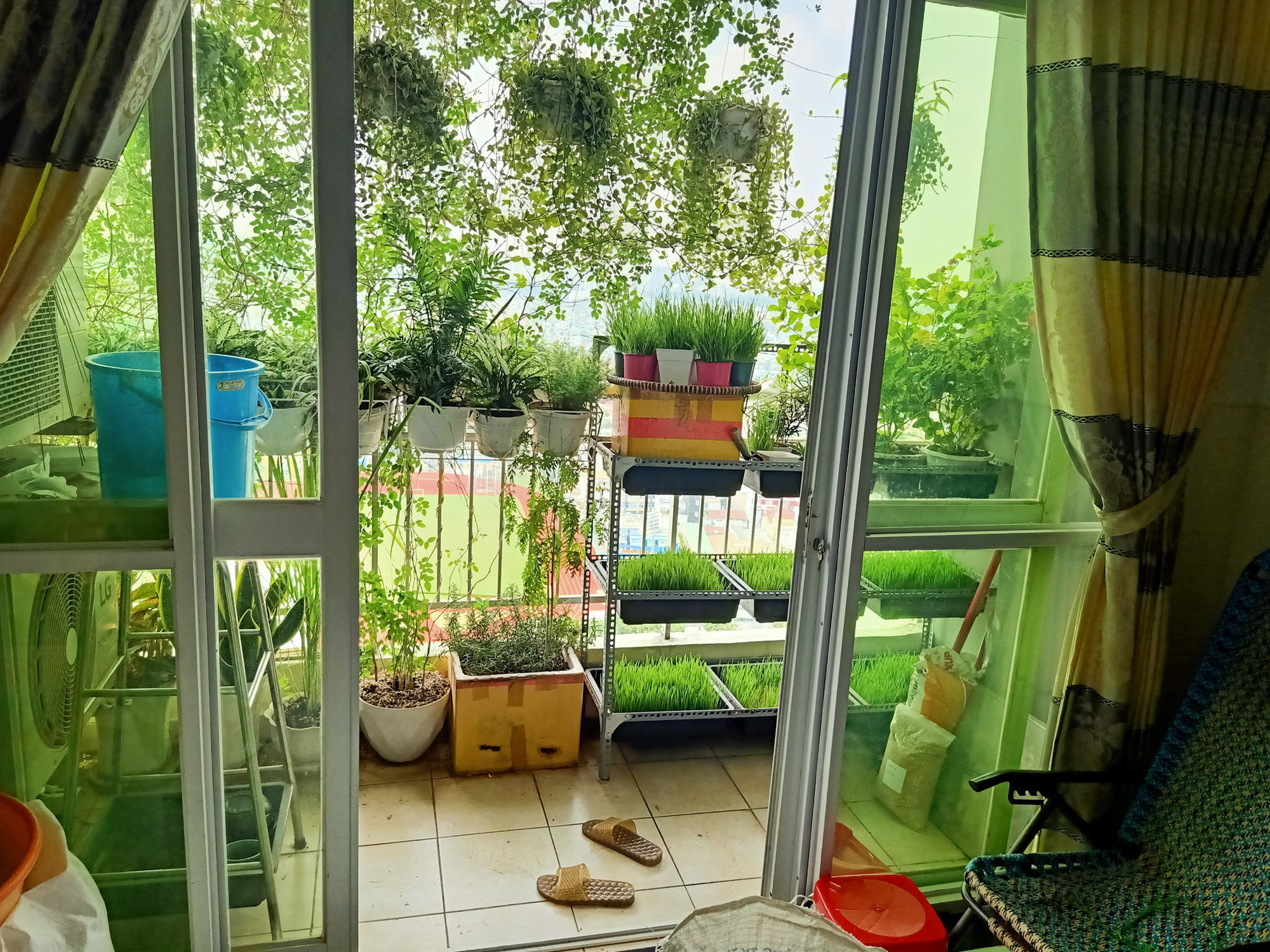 Learn tips to avoid the hot sun in the summer for the balcony of townhouses facing the West by being both cheap and effective in Saigon - Photo 2.