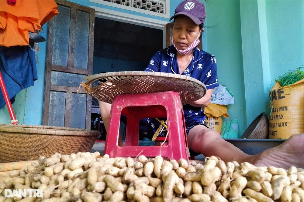 Độc đáo nghề ép đậu phộng chảy ra... vàng - 1