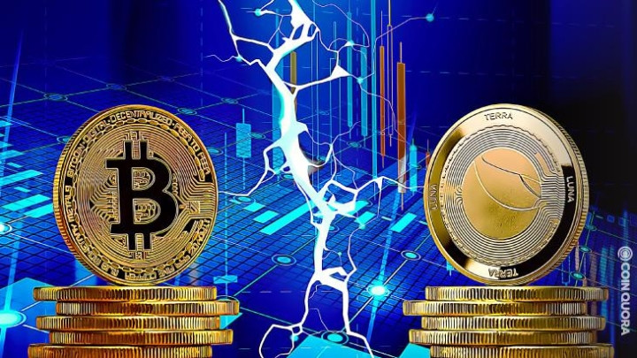 Tiền ảo Luna sụp đổ: Bài học nhớ đời cho nhà đầu tư mạo hiểm - 1