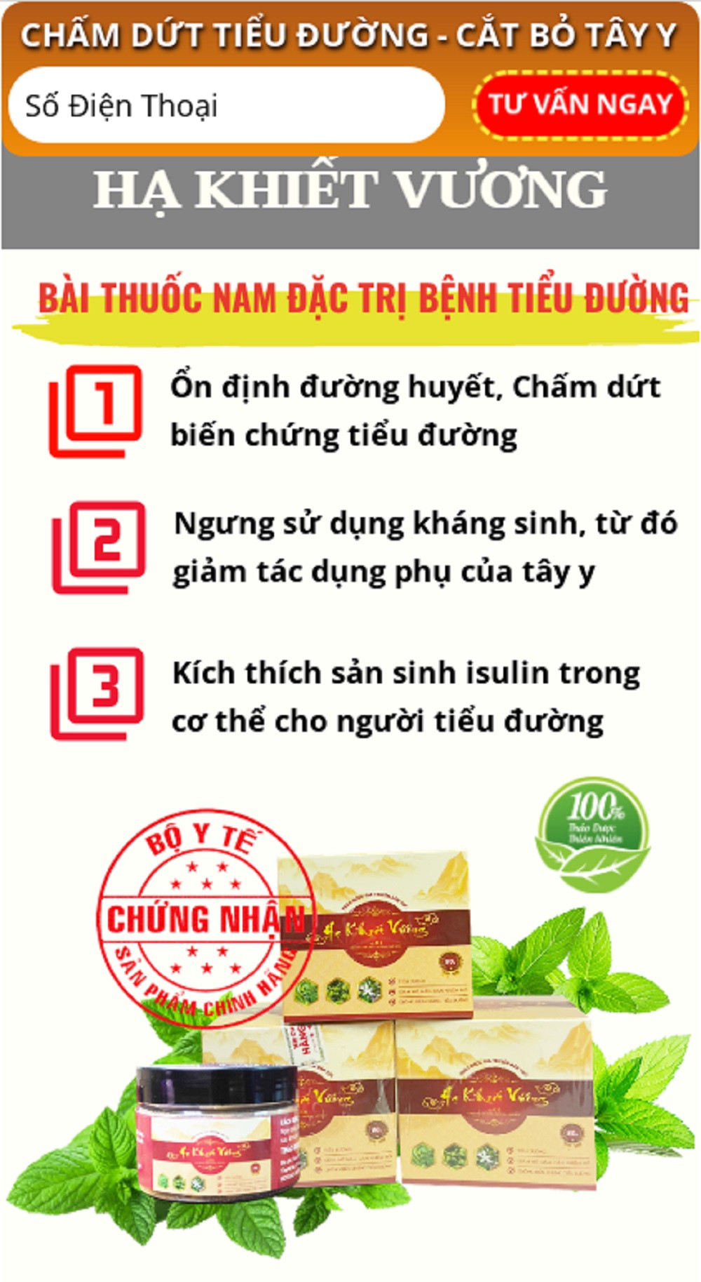 Tại website http://www.tinhhoayhoc1.xyz/, Hạ Khiết Vương còn được giới thiệu là bài thuốc nam đặc trị tiểu đường