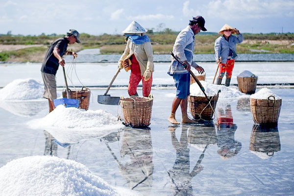 Về đồng muối Lý Nhơn, cùng diêm dân Sài Gòn trĩu vai gánh 'qùa của biển'