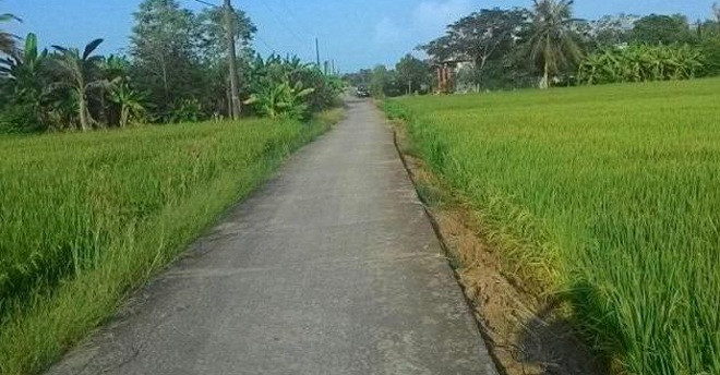 Anh cửu vạn trúng độc đắc 42 tờ vé số, xây biệt thự nghìn mét vuông và cái kết nợ như chúa chổm - Ảnh 1.