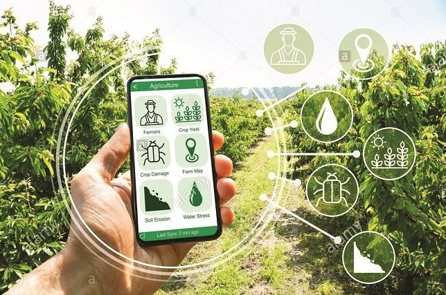 Nam Định đẩy mạnh chuyển đổi số trong nông nghiệp