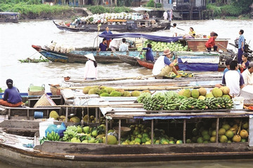 Preserving the Mekong Delta's floating markets