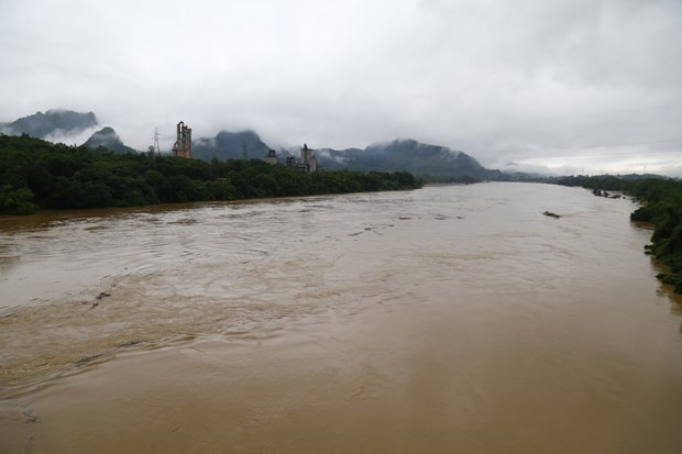 Downpours cause human, property losses in northern Vietnam hinh anh 1