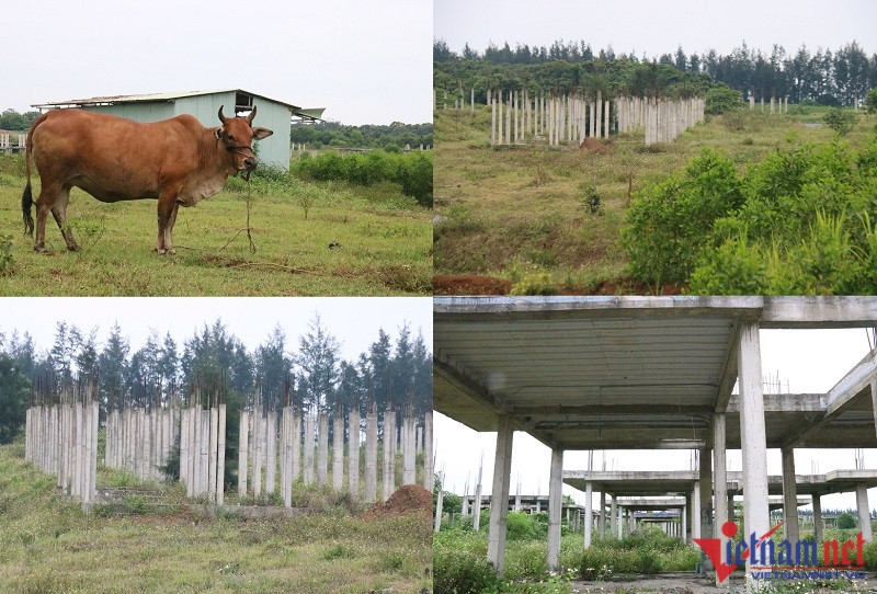 Dự án đô thị sinh thái 'ôm' đất vàng ven biển Quảng Trị treo nhiều năm