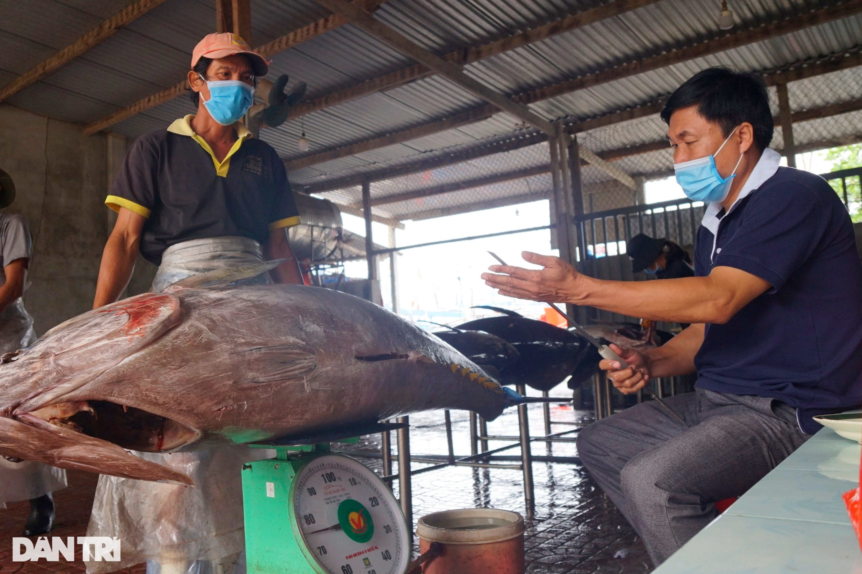 Làng biển giàu nhất miền Trung nhờ nghề săn thủy quái đại dương - 10