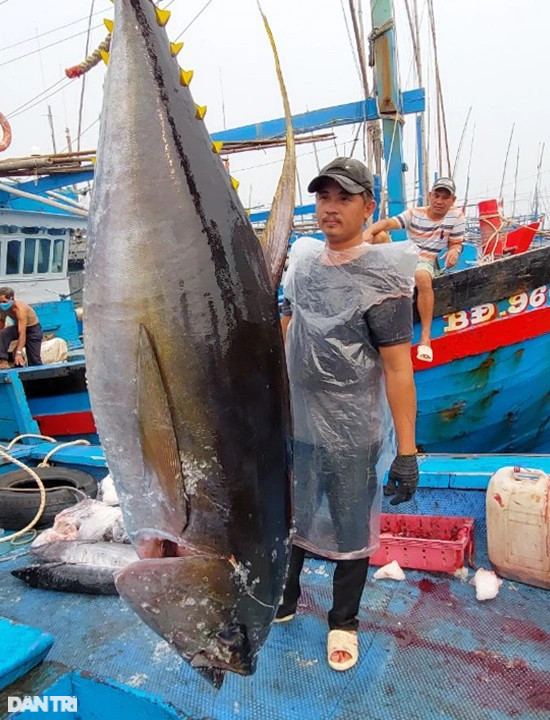 Làng biển giàu nhất miền Trung nhờ nghề săn thủy quái đại dương - 9