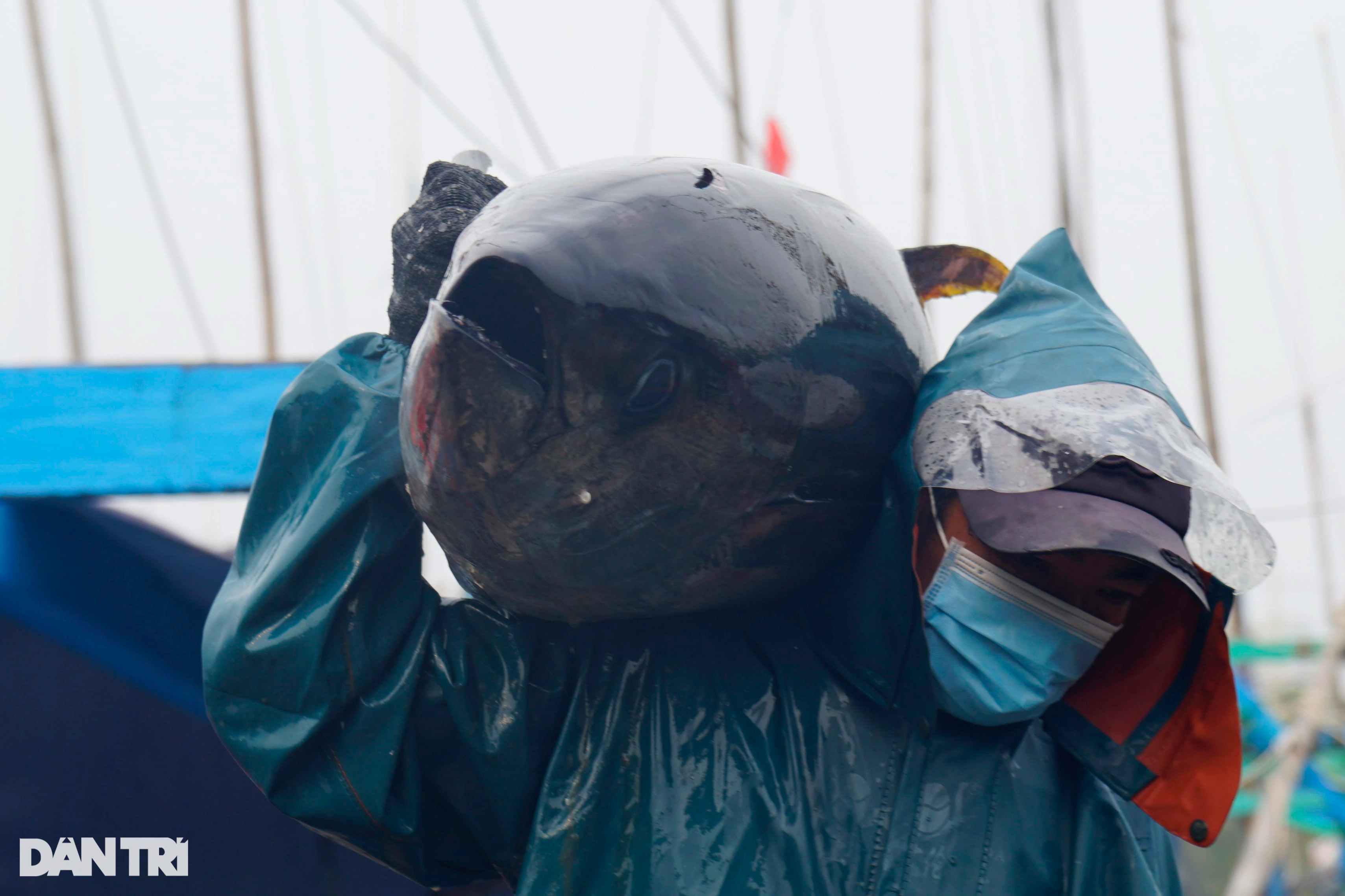 Làng biển giàu nhất miền Trung nhờ nghề săn thủy quái đại dương - 6