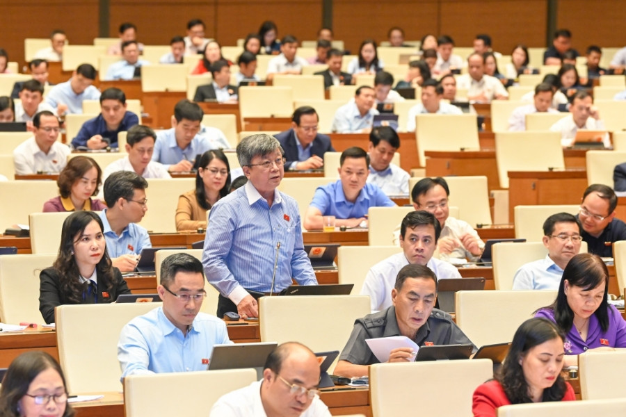 'Luật rừng' là có hại, nhưng một 'rừng luật' xung đột thiệt hại còn nhiều hơn