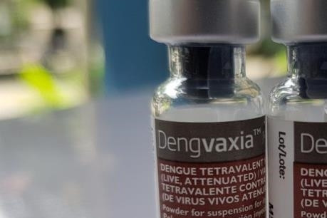 More deaths from dengue fever, parents are worried why there is no vaccine?