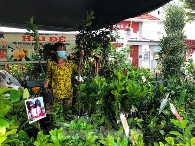 Chanh leo ngọt cả trăm nghìn đồng/kg vẫn 'cháy hàng' ảnh 2