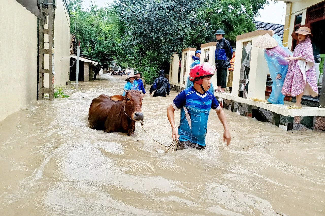 Cận cảnh nước dâng tận nóc nhà ở Tam Đảo - 6