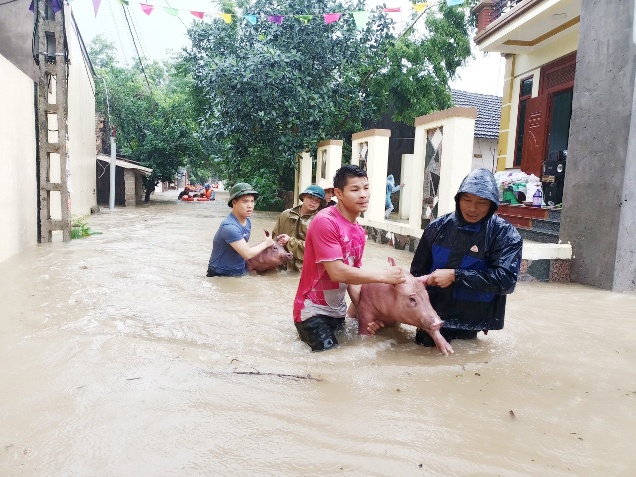 Cận cảnh nước dâng tận nóc nhà ở Tam Đảo - 5