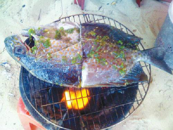 Dụng công săn loài cá tà ma mà giới nhà giàu săn lùng - 10