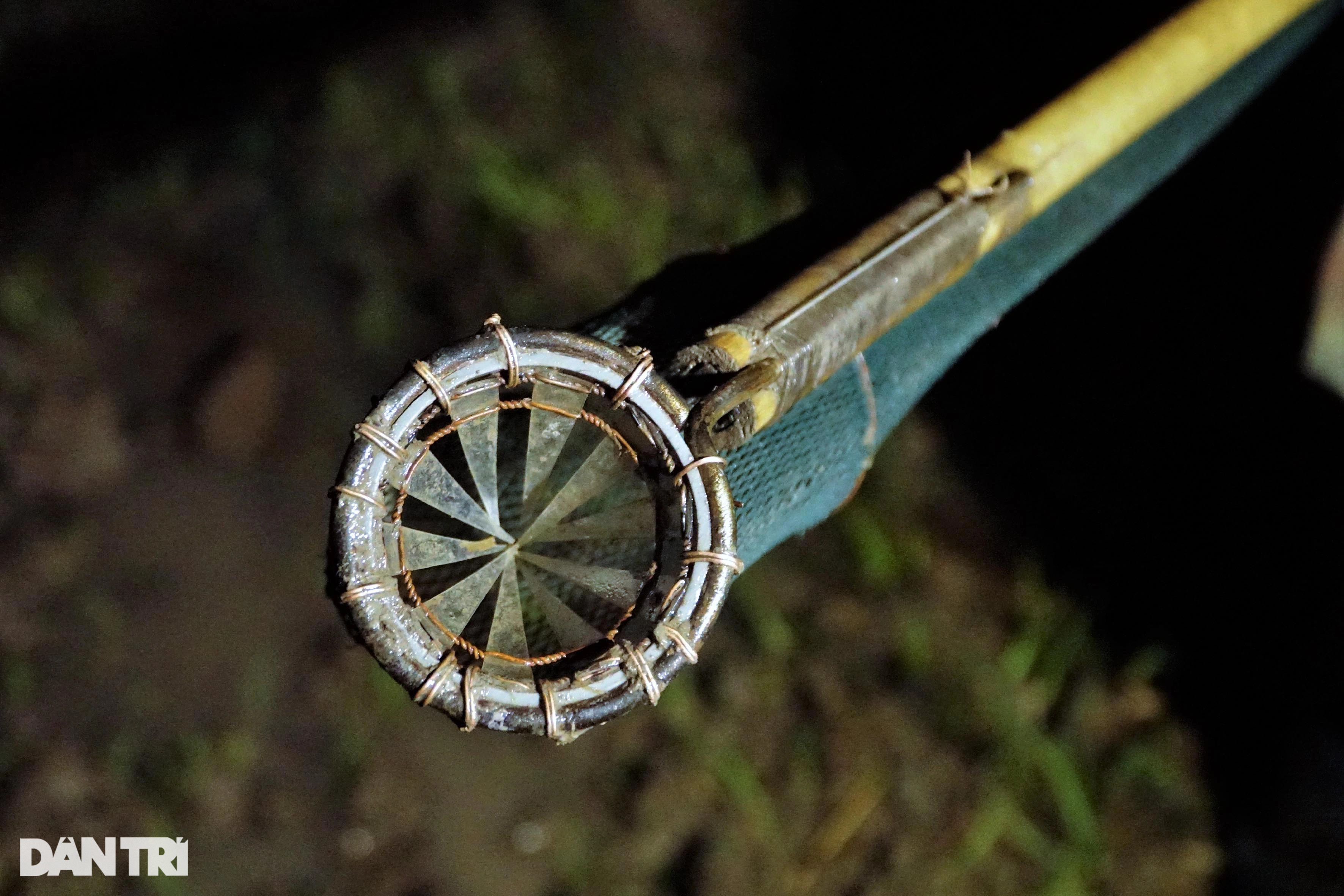 Vượt đồng, xuyên đêm soi đèn săn vũ nữ chân dài kiếm tiền triệu - 4