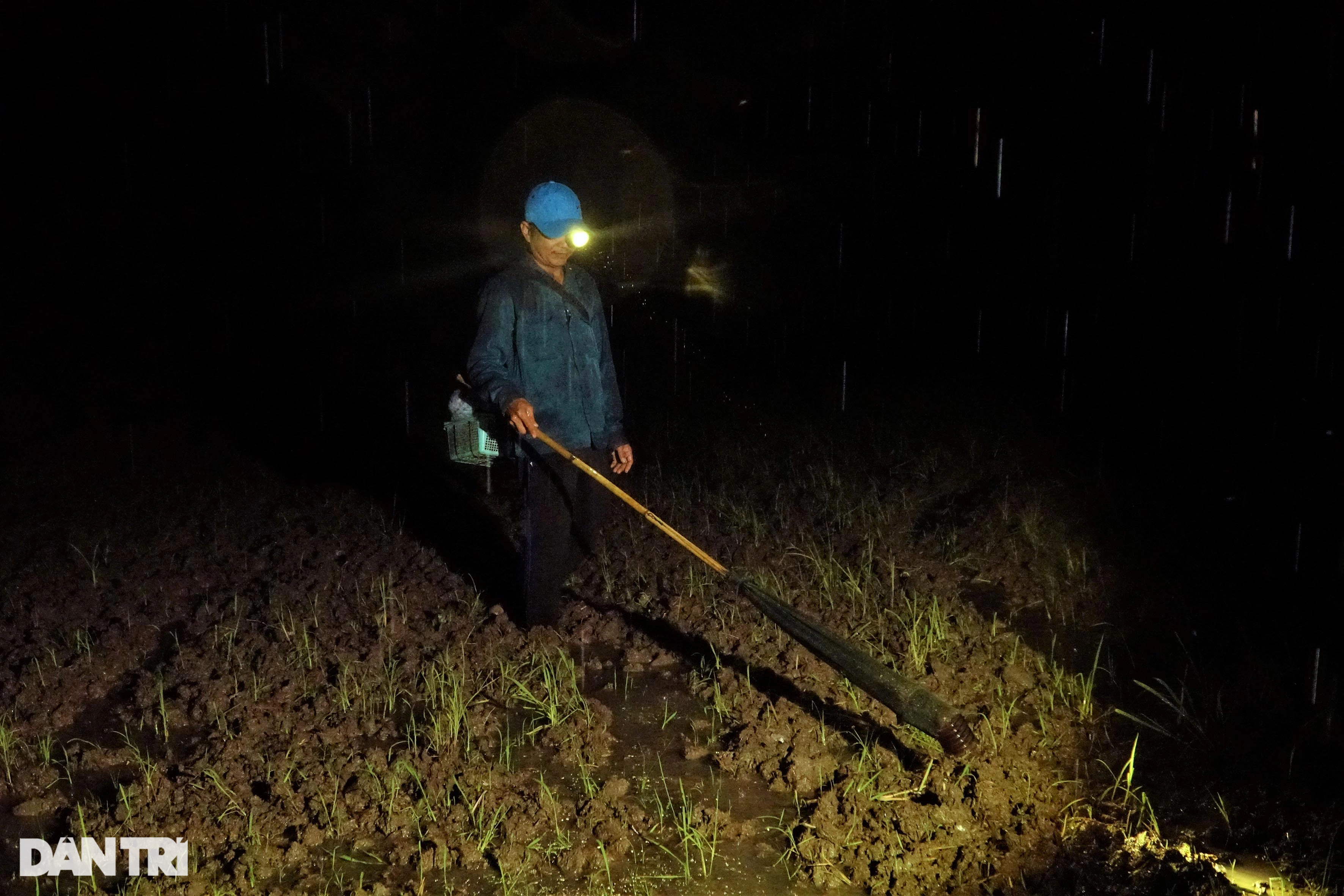 Vượt đồng, xuyên đêm soi đèn săn vũ nữ chân dài kiếm tiền triệu - 2