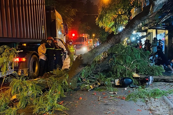 Xe container quệt vào cây ở Hà Nội, cành gãy rơi trúng một học sinh
