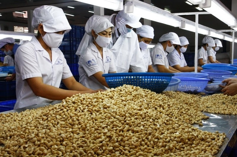 Món hàng Việt chiếm Top đầu thế giới đang mất dần thị phần tại Trung Quốc
