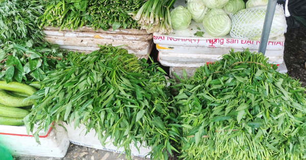Ảnh hưởng mưa lớn kéo dài, rau muống ở Hà Nội chạm 20.000 đồng/bó