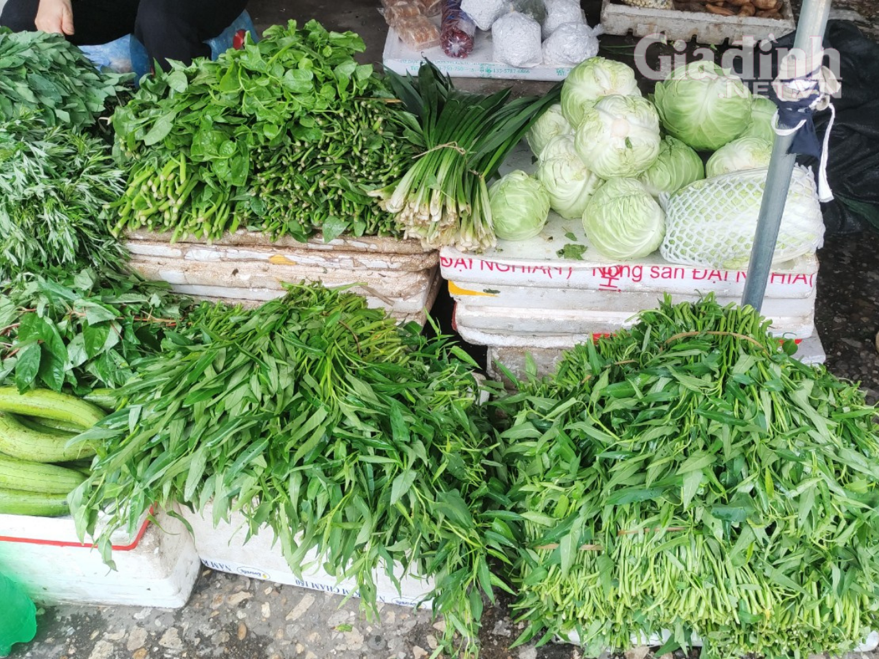 Ảnh hưởng mưa lớn kéo dài, rau muống ở Hà Nội chạm 20.000 đồng/bó - Ảnh 3.