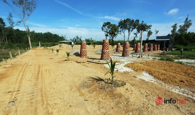 Bộ sưu tập hơn 2.000 vật dụng cổ nghề nông ẩn chứa ý nghĩa sâu sắc