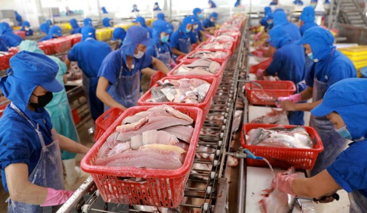 Seafood remains one of Vietnam's key exports to the EU.