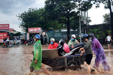 Mưa lớn, xe kéo 'cứu' phương tiện qua điểm ngập sâu, cây đổ đè taxi