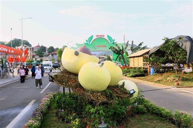 PM attends Fruit and OCOP Product Festival in Son La hinh anh 1