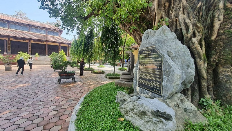 Bia trong chùa Từ Đàm ghi sai tên vua Thiệu Trị