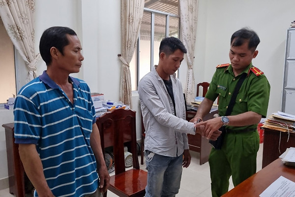 Prosecuting 4 cases, arresting 7 accused of deforestation and land grabbing in Phu Quoc city